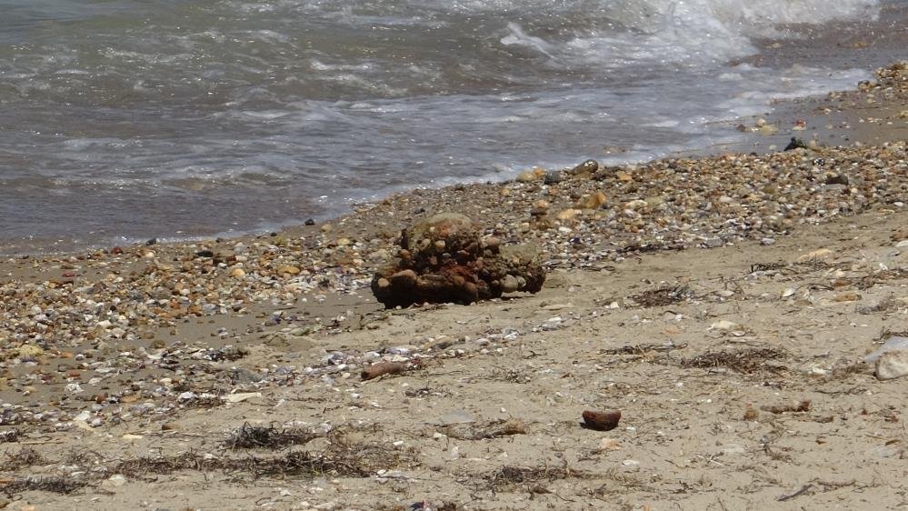Vatandaş denizde tesadüfen buldu! Çanakkale Savaşı'ndan kalma iddiası
