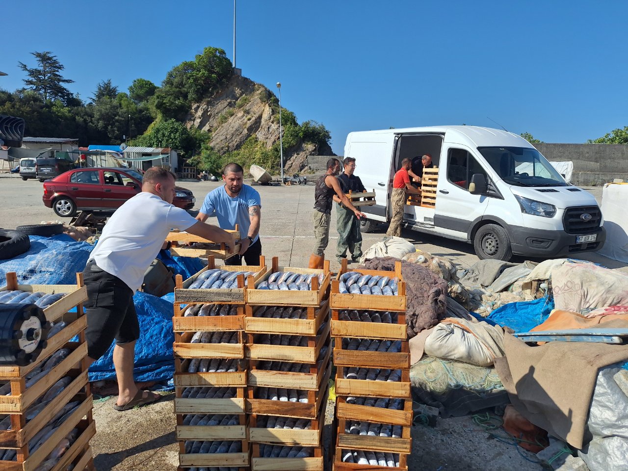 Av yasağı bitti, 1 gece 50 ton palamutla döndüler!