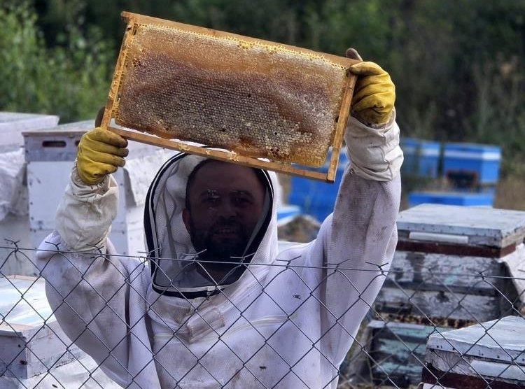 Hobi olarak arıcılığa başladı: 3 kovanı vardı, şimdi sayıyı 250 kovana çıkardı
