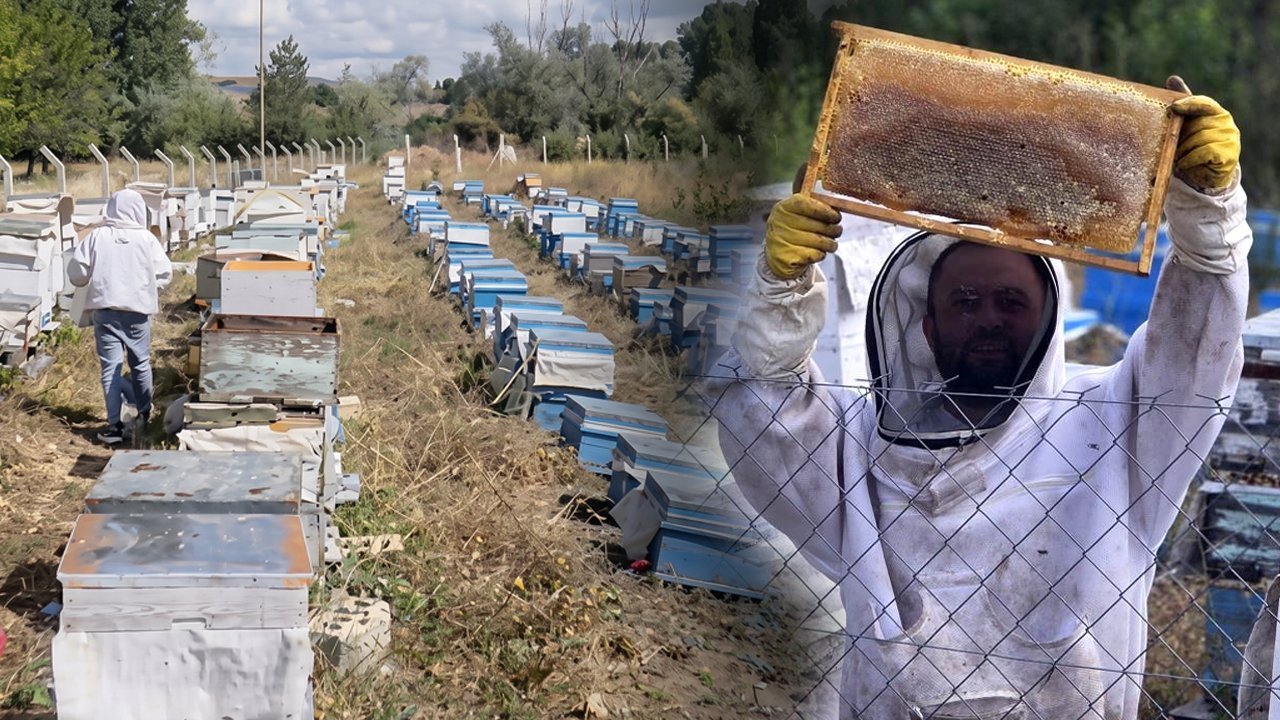 3 KOVANDAN DEVASA İŞLETMEYE