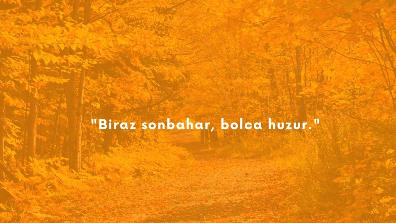 Hoş geldin Eylül ayı mesajları 2026! Resimli, en yeni, duygusal Eylül ve sonbahar sözleri