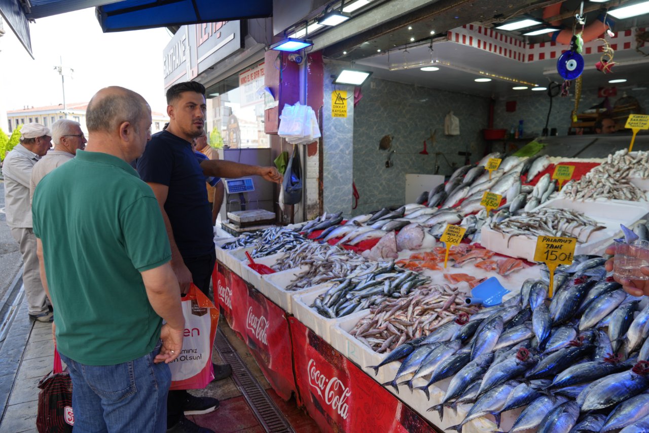 Sezonun ilk gününde denizden 'palamut' fışkırdı! İşte fiyatı