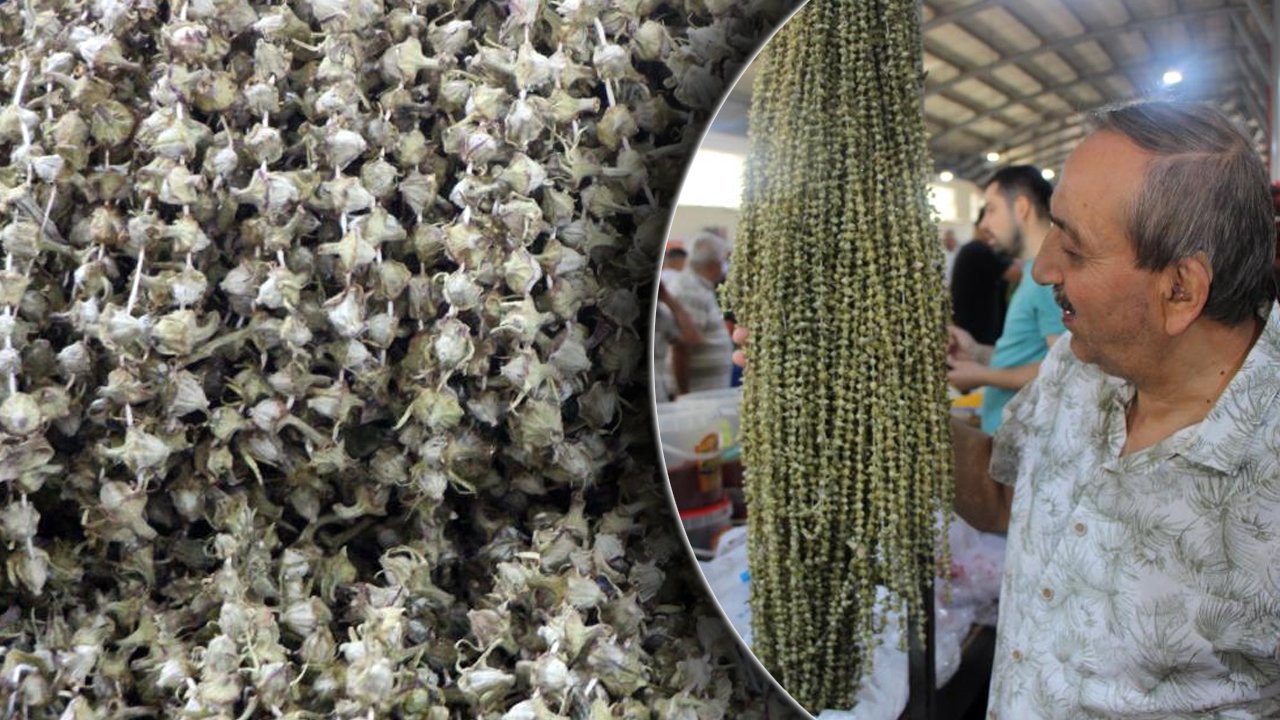 100 gramı 300, 1 kilosu 3 bin lira! Amasya'nın tescilli lezzeti altınla yarışıyor