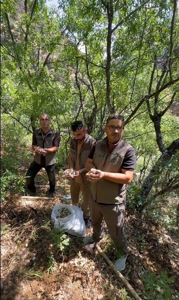 20 kilo için 2 milyon liralık ceza... Tunceli’de sarımsak operasyonu