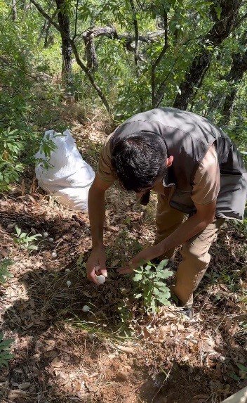 20 kilo için 2 milyon liralık ceza... Tunceli’de sarımsak operasyonu