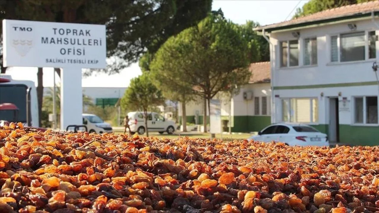 Kuru üzümde 2026 fiyatları belli oldu! TMO’nun alım tarifesi açıklandı