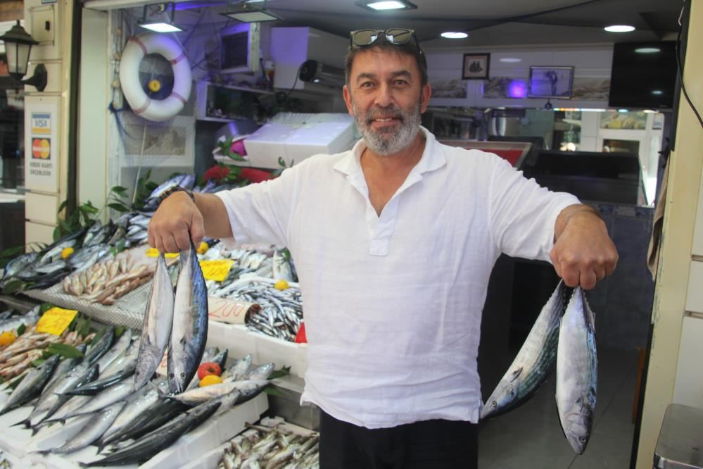 Palamut bolluğu yaşanıyor! Fiyatını duyan tezgaha koşuyor