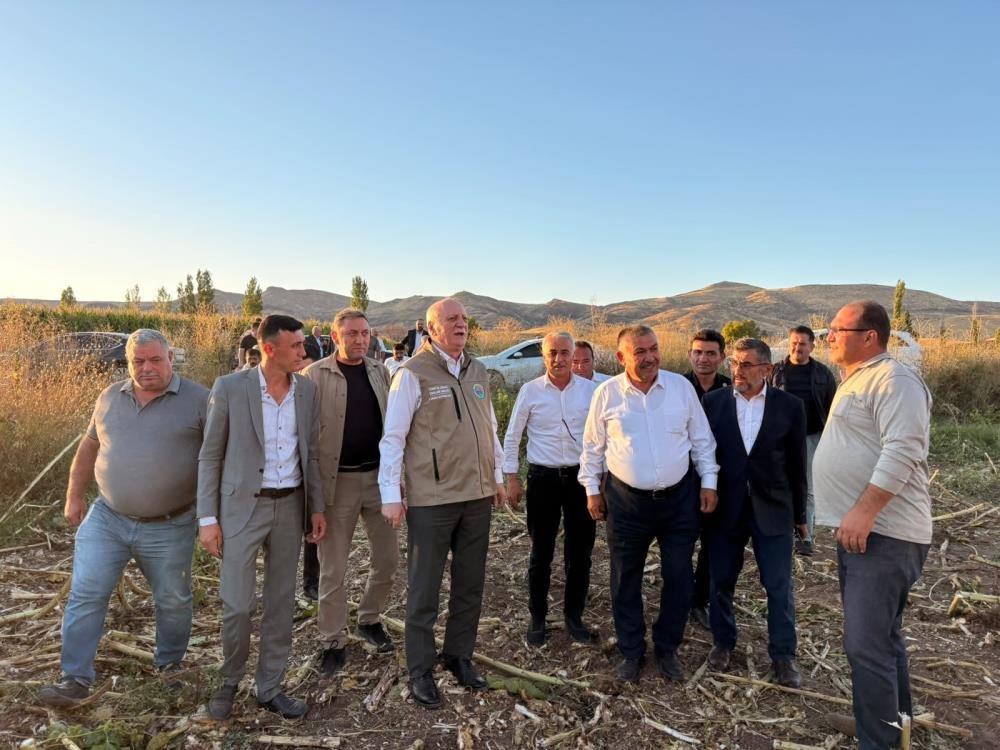 Üretimi üç il sırtladı, hasat başladı! Çay keyfinin vazgeçilmezi...