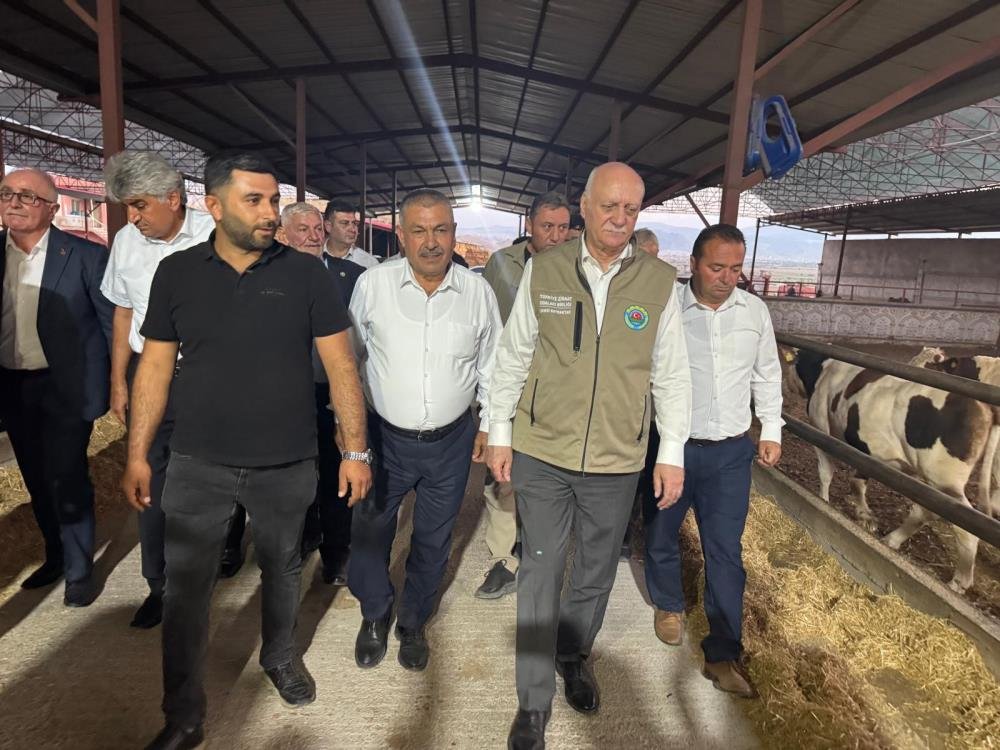Üretimi üç il sırtladı, hasat başladı! Çay keyfinin vazgeçilmezi...