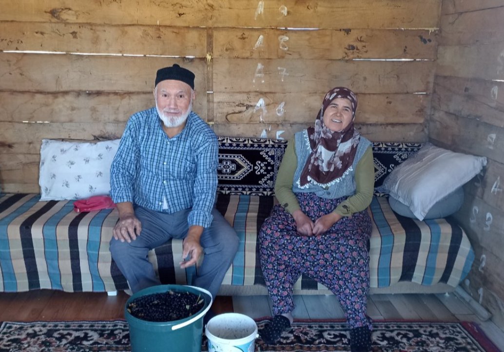 Emekli çift devlet desteğiyle kurdu: Ektikleri meyve yüzlerini güldürdü, 5 yıldır üretiyorlar