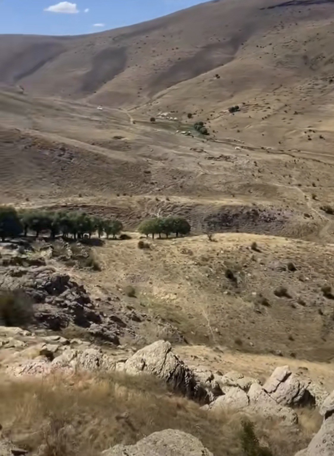 Sivas’ta sır olay! Kayıp Büşra bebeğin annesinden kan donduran iddia, tek bir iz bulundu, baba gözaltında