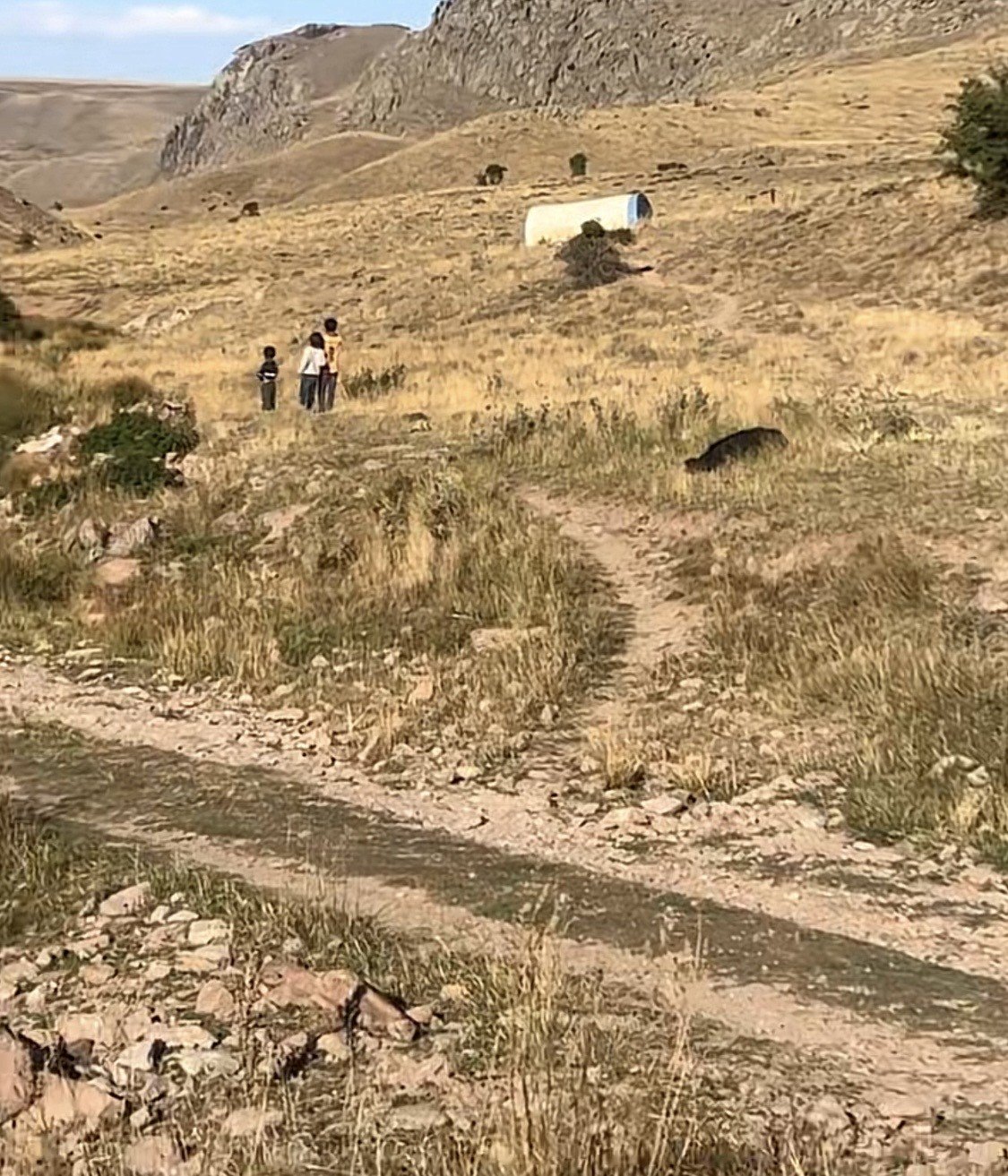 Sivas’ta sır olay! Kayıp Büşra bebeğin annesinden kan donduran iddia, tek bir iz bulundu, baba gözaltında