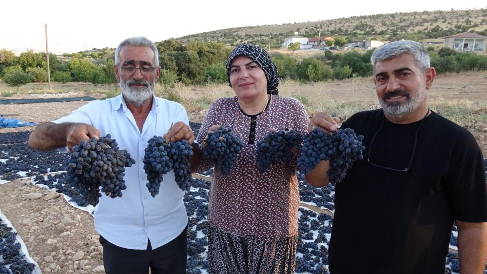 1000 rakımda üretiliyor, 600 liradan satılıyor! Verim iyi, üretici memnun