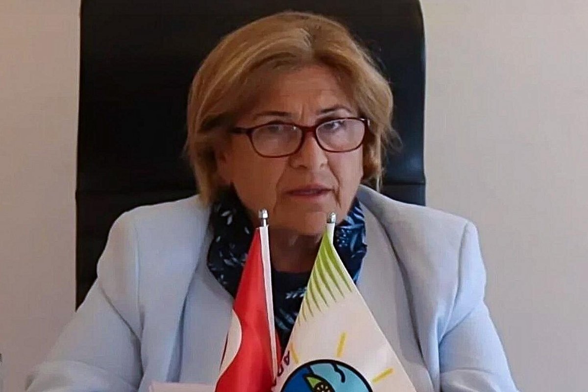 Medine Pamuk