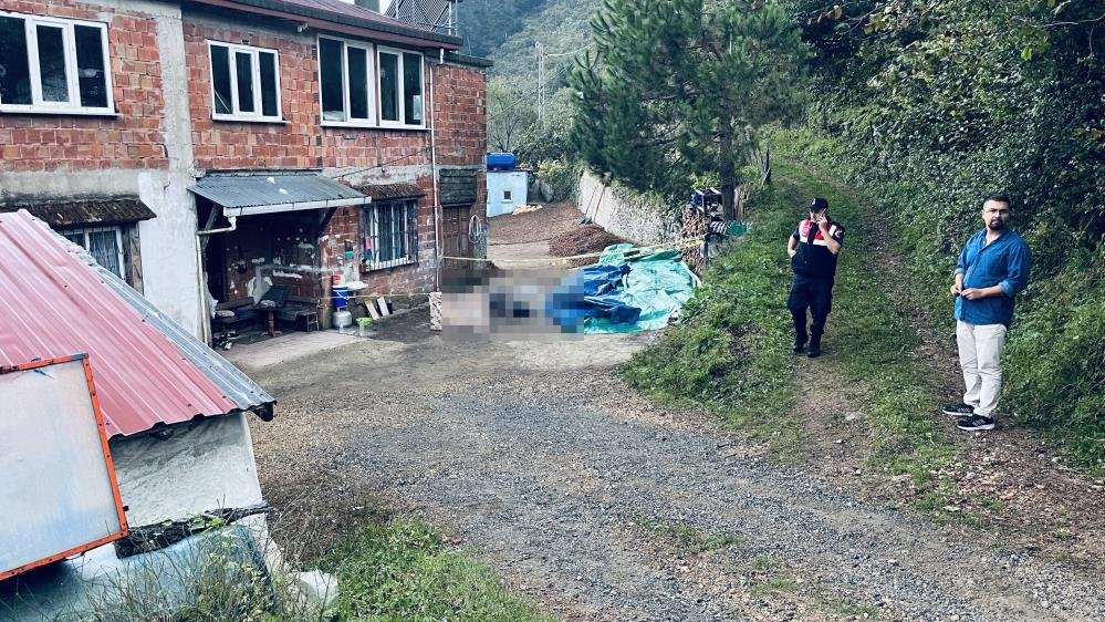 Orduda dehşet! 72 yaşında kardeş katili oldu, sebebi şoke etti