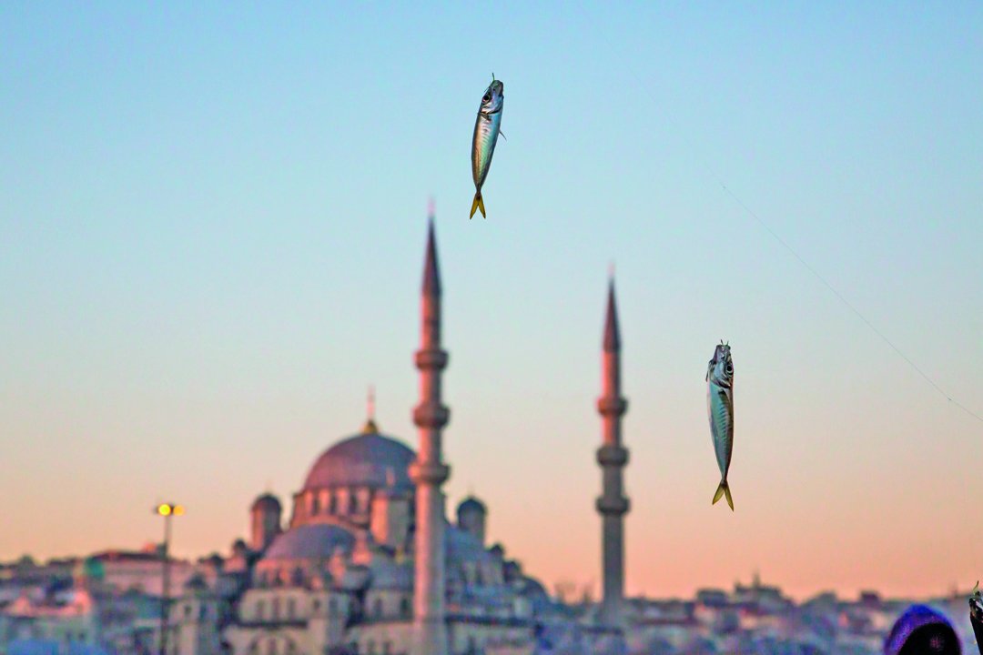 Usta sanatçı Mustafa Seven: Fotoğrafçılık da nasip işi!