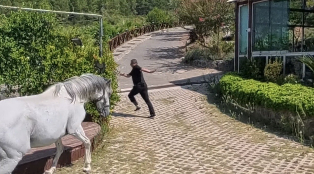 Klip çekiminde korku dolu anlar! At üzerine geldi, ezilmekten saniyelerle kurtuldu
