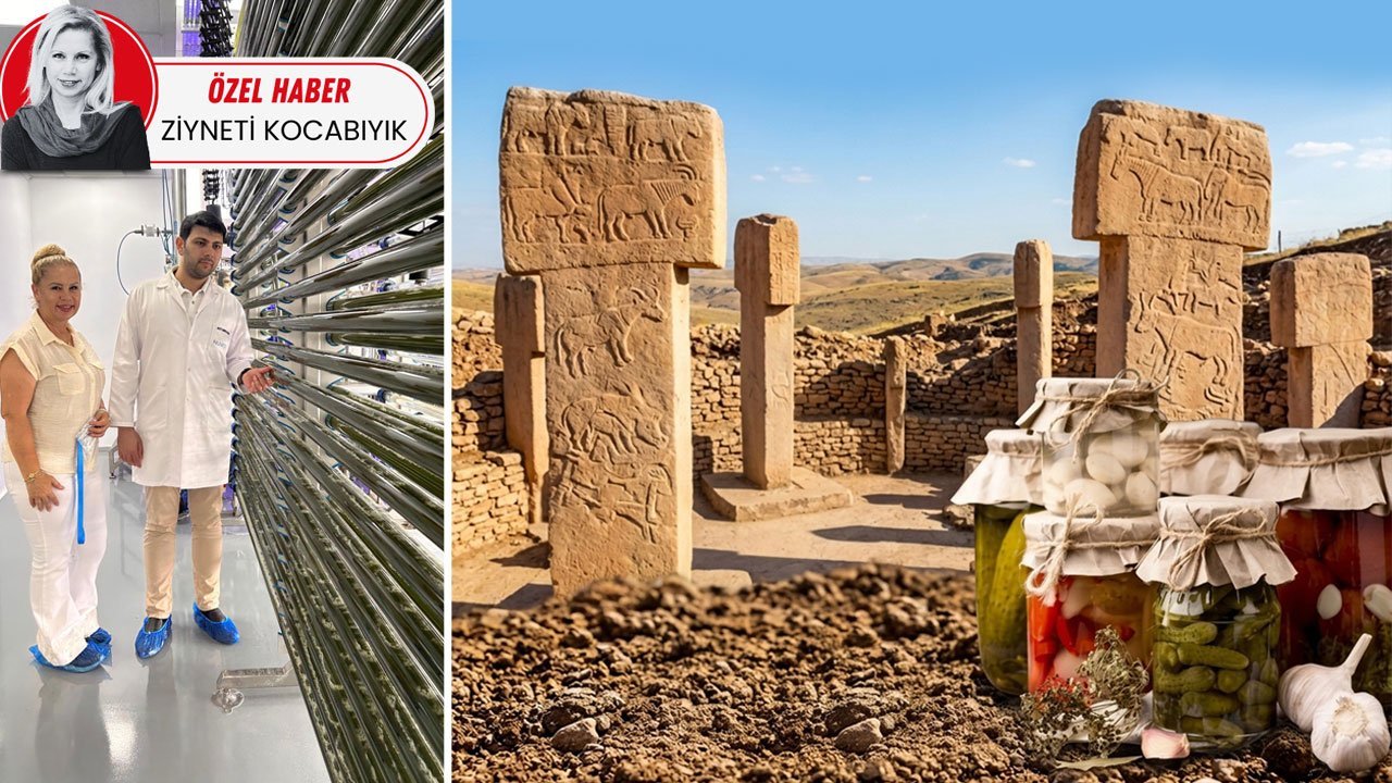 Yerli bakteri geliyor! Göbeklitepe toprağı Türk insanına şifa olacak