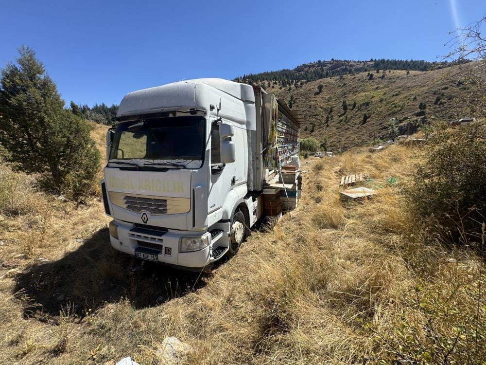240 kovanlık  bal tırı  ile 2 bin 200 rakımlı yaylalarda doğal bal üretimi yapıyorlar