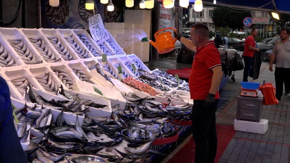 Denizden kasa kasa çıkıyor! Fiyatını duyan tezgaha koşuyor!