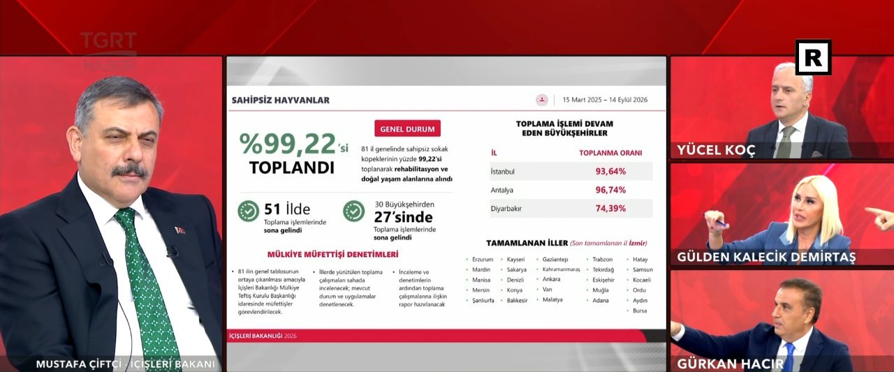 Başıboş köpek sorunu tarih oluyor!  Yüzde 99u toplandı  diyen Bakan Çiftçi tarih verdi