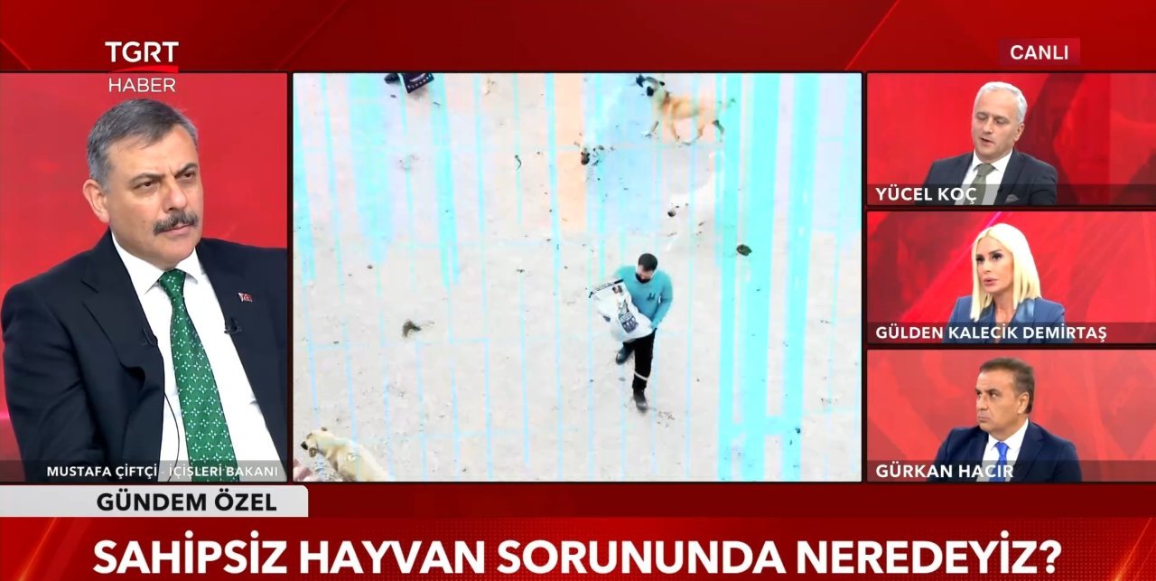 Başıboş köpek sorunu tarih oluyor!  Yüzde 99u toplandı  diyen Bakan Çiftçi tarih verdi