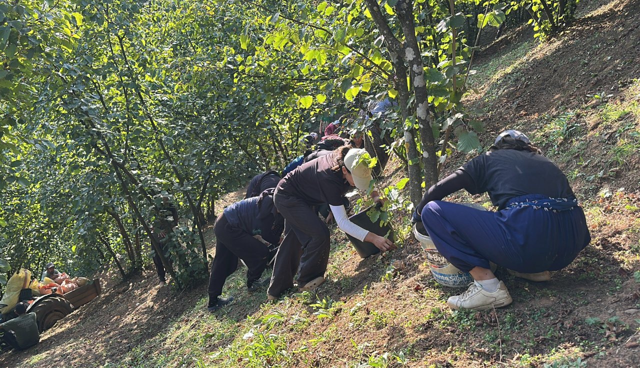 Bir köy el ele verdi, fabrika kurdu! İlk ihracat Amerika'ya