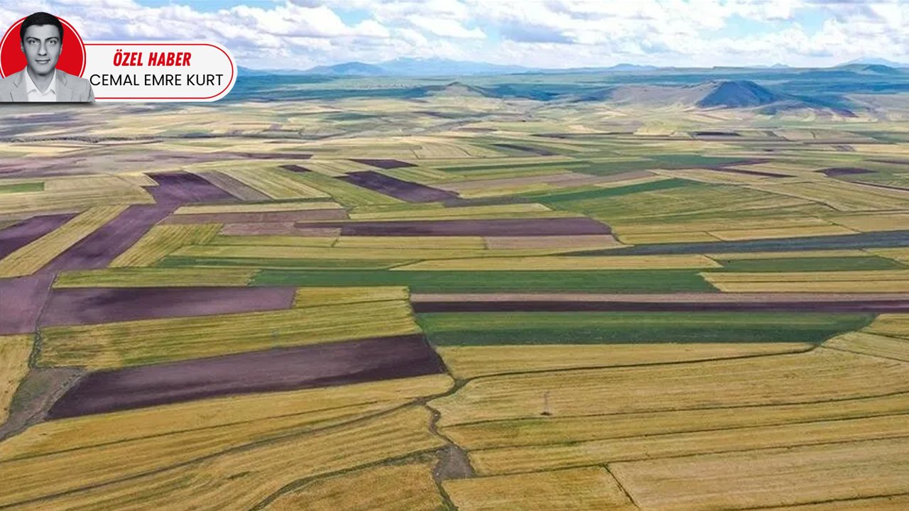 Boş tarlalar için tespit tamamlandı! İşlenmeyen arazilerde yeni kiralama dönemi