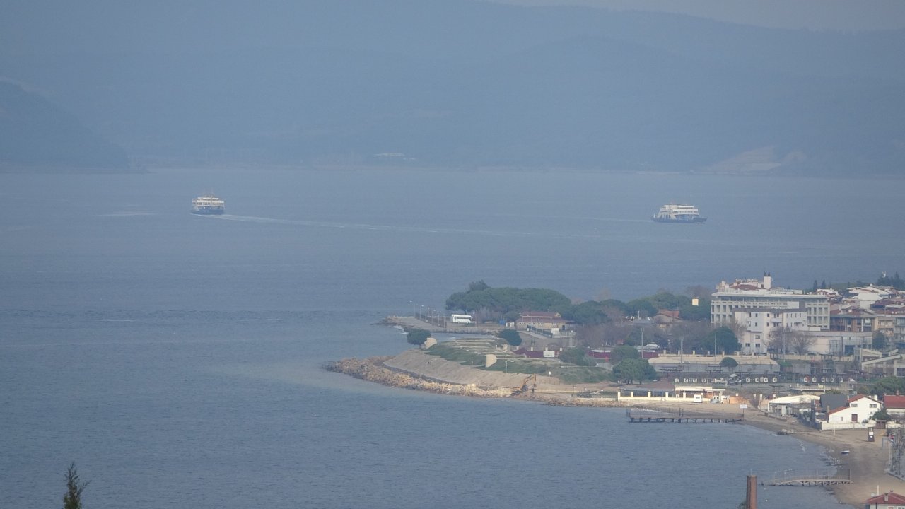 Çanakkale’de ‘mavi’ alarm! 5 metre derinlikte sayısı arttı, zehirli değil ama temas edince acı hissi veriyor 