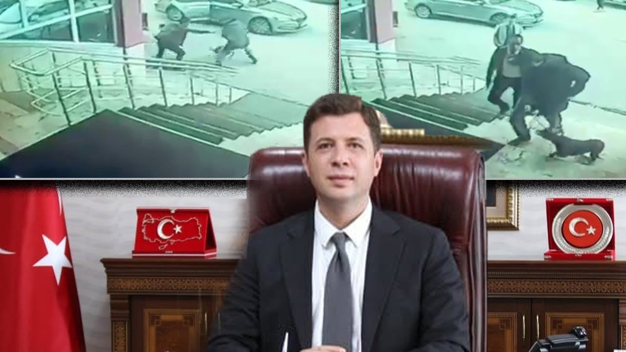 Köpeğe tekme attığı anlar tepki çekmişti: Palandöken Kaymakamı ve korumasına soruşturma 