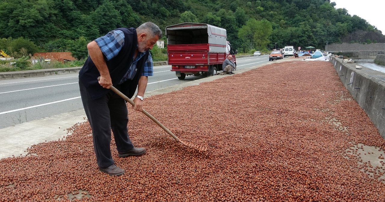 Fındık üreticisinin tercihi TMO! 1 tonda 55 bin liralık fark