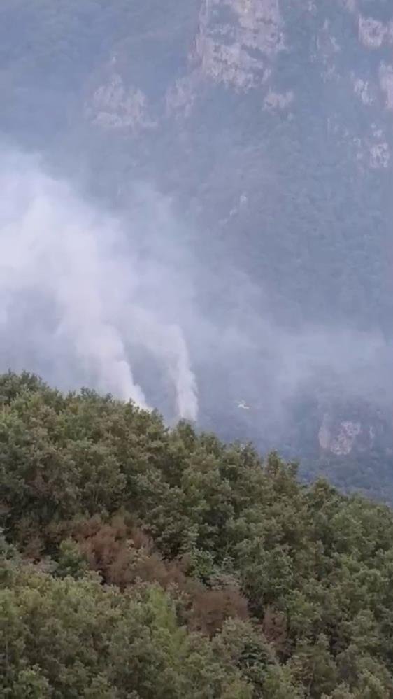 Hatayda orman yangını başladı! Ekipler bölgede