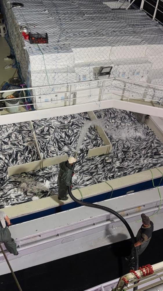 Resmen bereket yağdı! Denizden 300 bin ton çıktı, fiyatlar tezgahta uygun