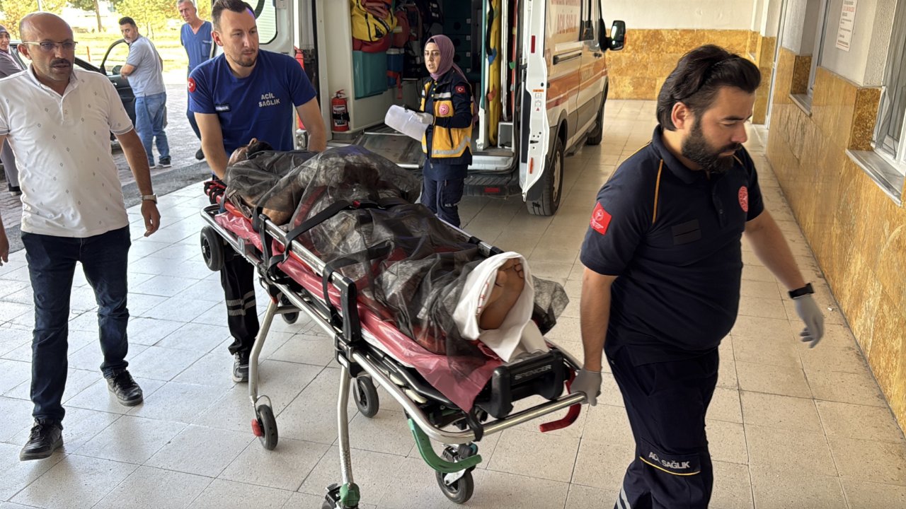 Yaylaya inen ayı, çobanı parçaladı! Helikopterle sevk edildi