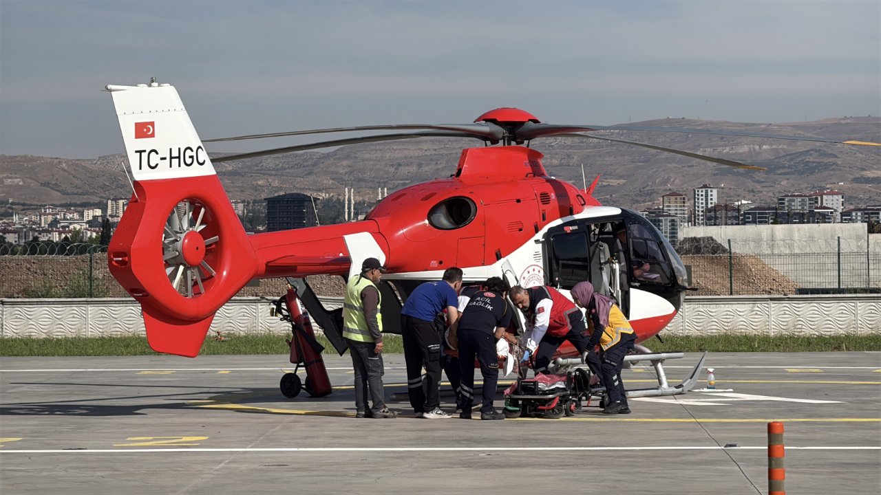 Yaylaya inen ayı, çobanı parçaladı! Helikopterle sevk edildi