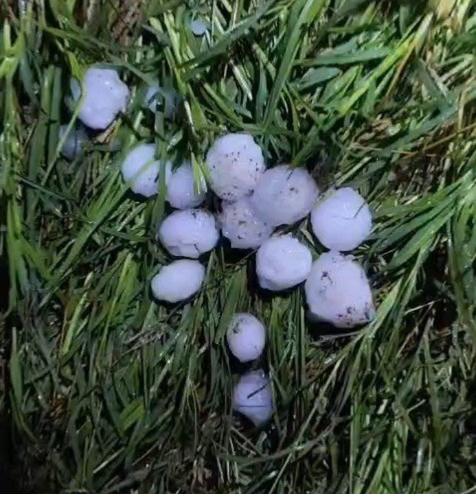 Yumruk büyüklüğünde dolu yağdı! Tarım arazileri zarar gördü