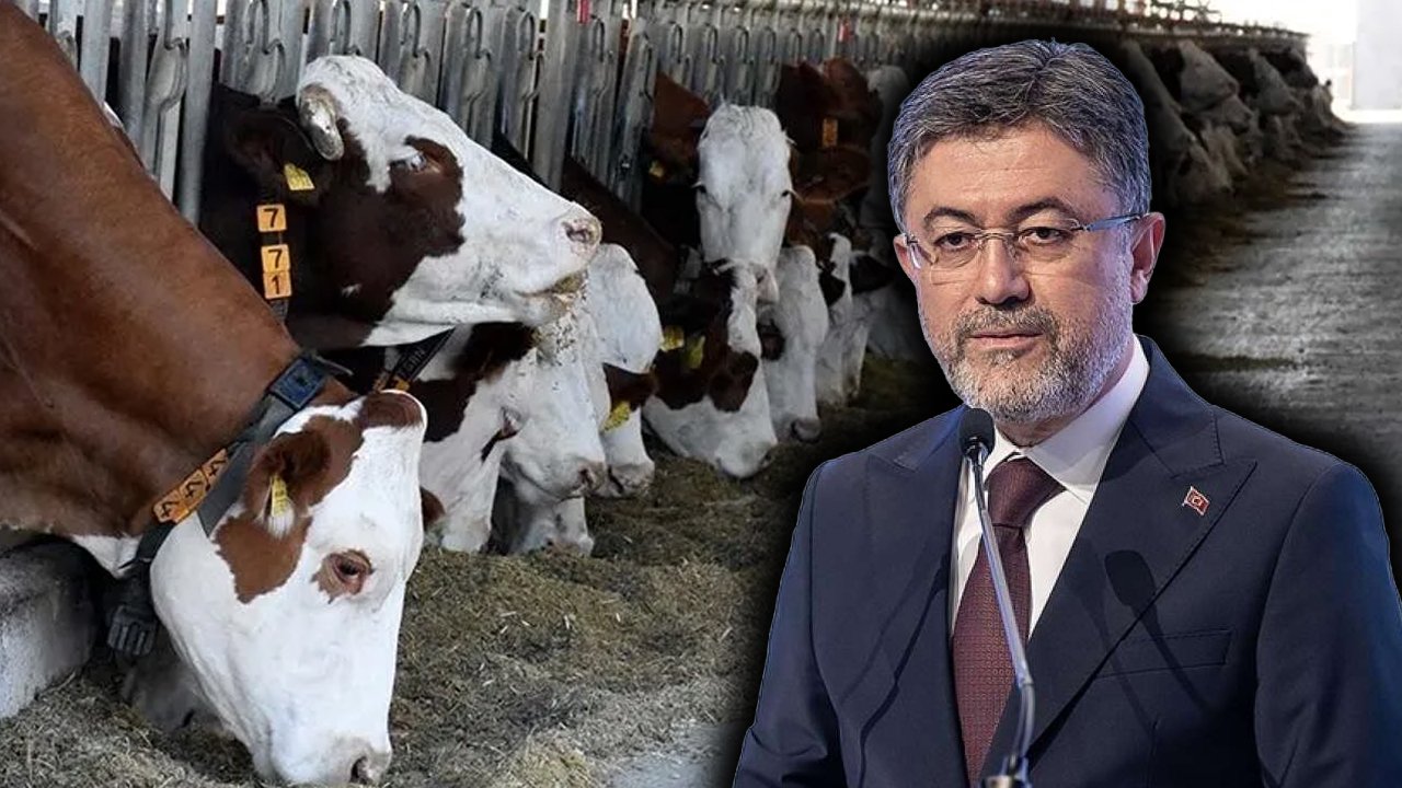 Hayvancılıkla ilgili yeni destek! Artık ücret alınmayacak 