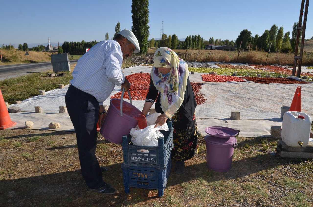 Bölgede başka yapan yok! Kış aylarının vazgeçilmezi: 25 dönüm araziye ekiliyor, yurt dışından talep yağıyor
