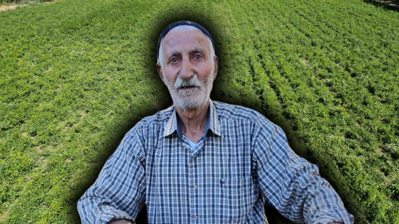 86 yaşında hala üretiyor! Bölgenin ihtiyacını tek başına karşılıyor