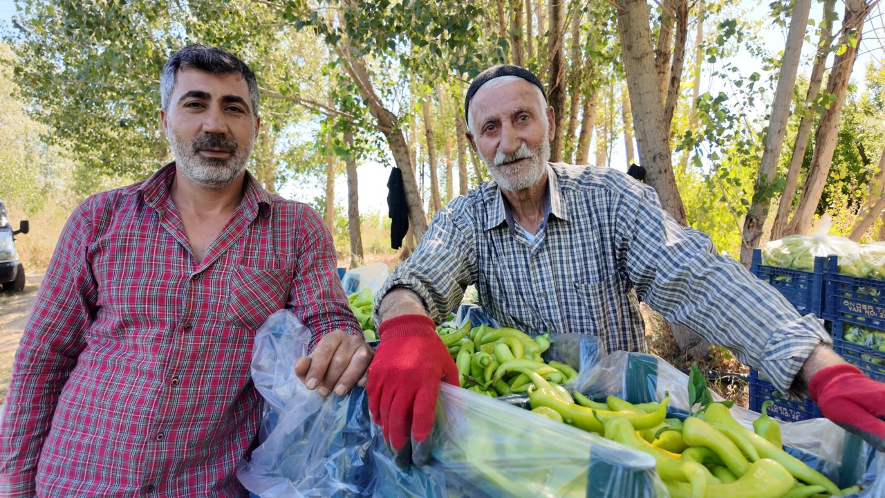 86 yaşında hala üretiyor! Bölgenin ihtiyacını tek başına karşılıyor