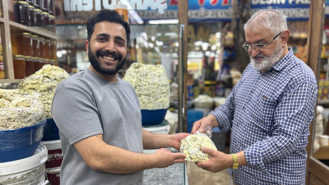 40 kilo toprağa gömülüyor, 30 kilo çıkıyor! Kilosu 800 TL