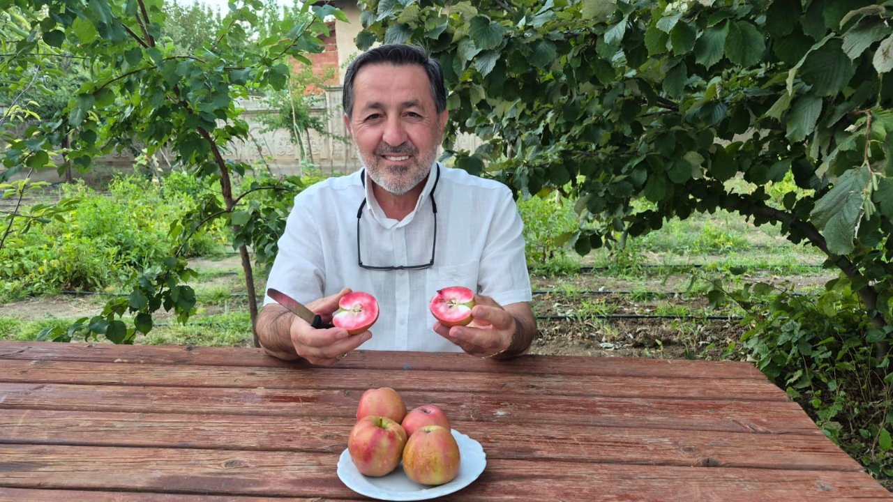İçi kırmızı, aroması farklı! 200 yıllık geçmişi var… Kan şekerini düşürüyor