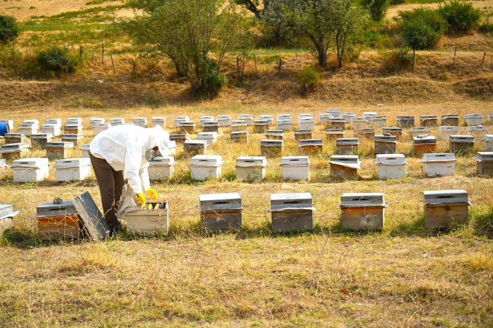 Türkiyenin dört bir yanından Muşa geldiler: 700 ton bal elde edildi