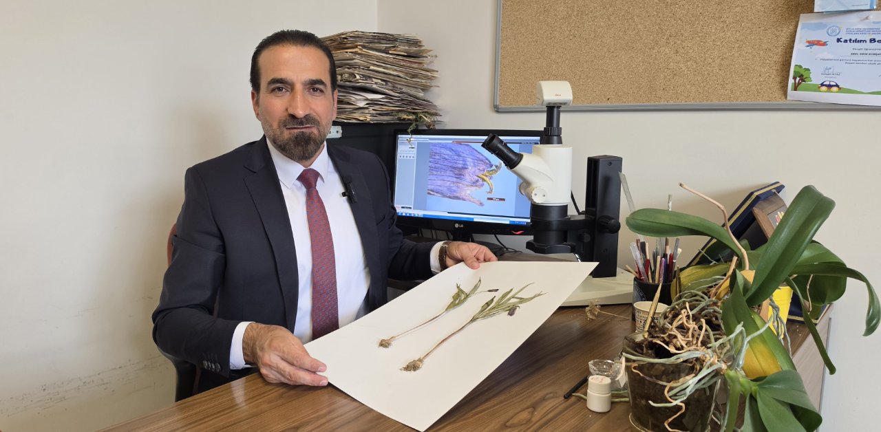 Dünyada sadece Muş’ta var! 3 yıllık araştırmada yeni bitki türü keşfedildi, ters laleye benziyor