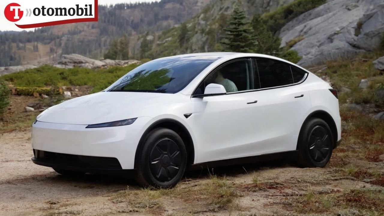 Tesla kredi kartına 12 ay taksitle araç satışına başladı