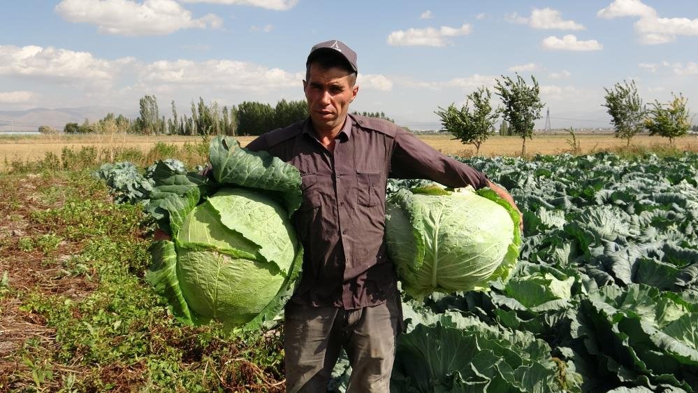 Ağırlığı 45 kilo, fiyatı 200 TL! Türkiyenin her yerine satıyorlar