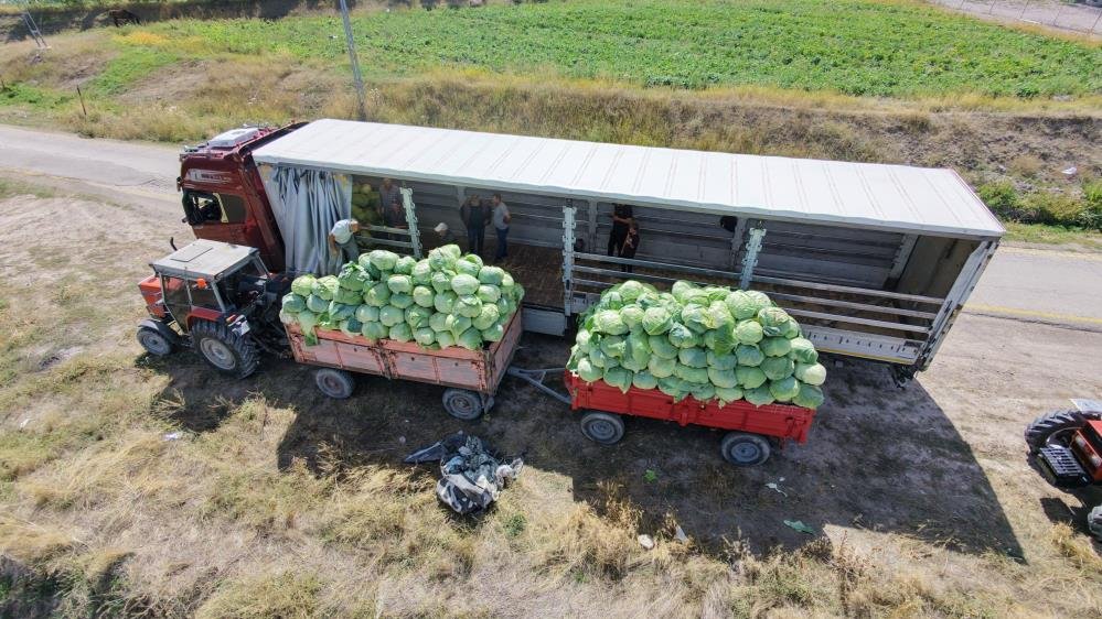 Ağırlığı 45 kilo, fiyatı 200 TL! Türkiyenin her yerine satıyorlar