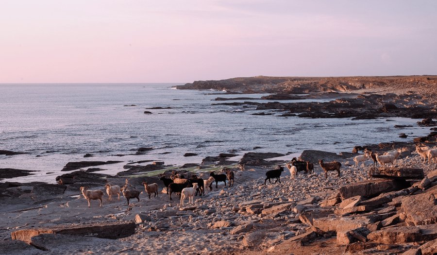 Kaynak: Coast Magazine