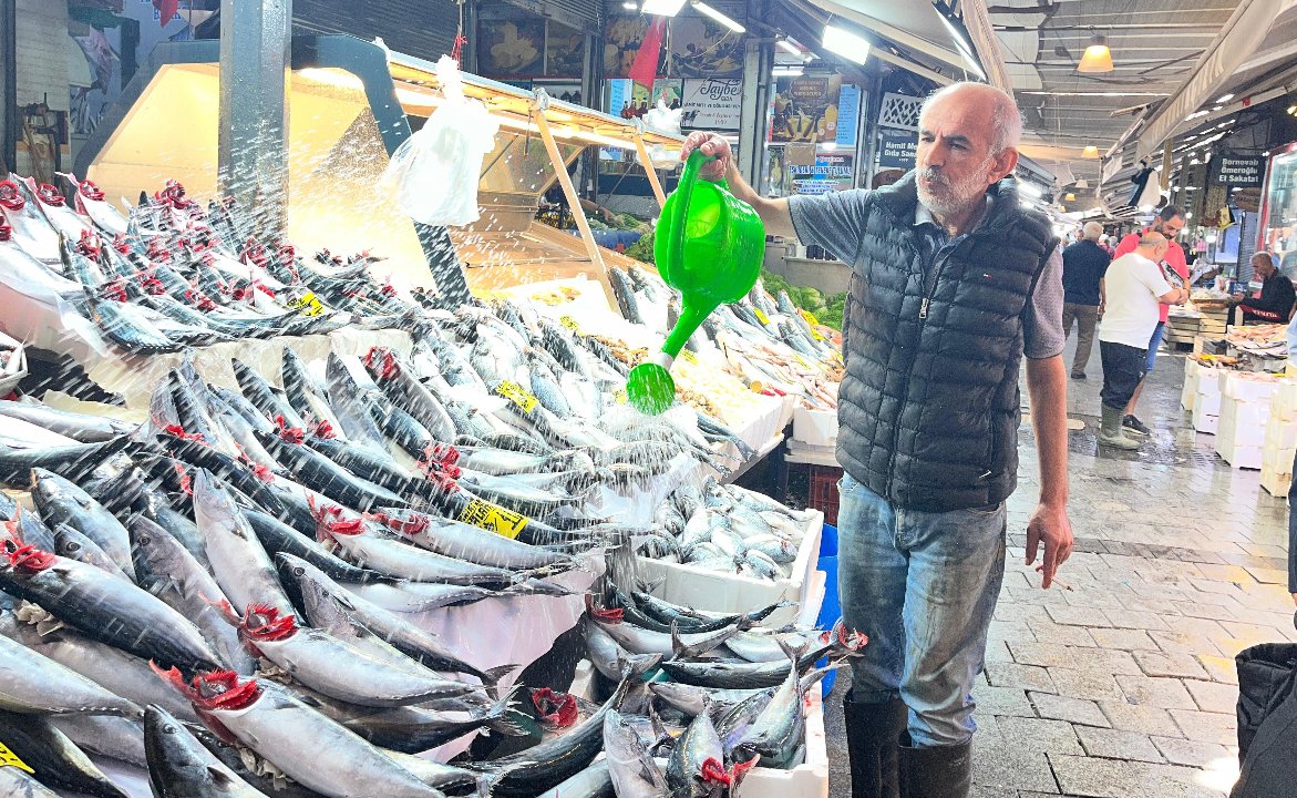 Tezgahların en ucuz balığı! Tanesi 100 lira 