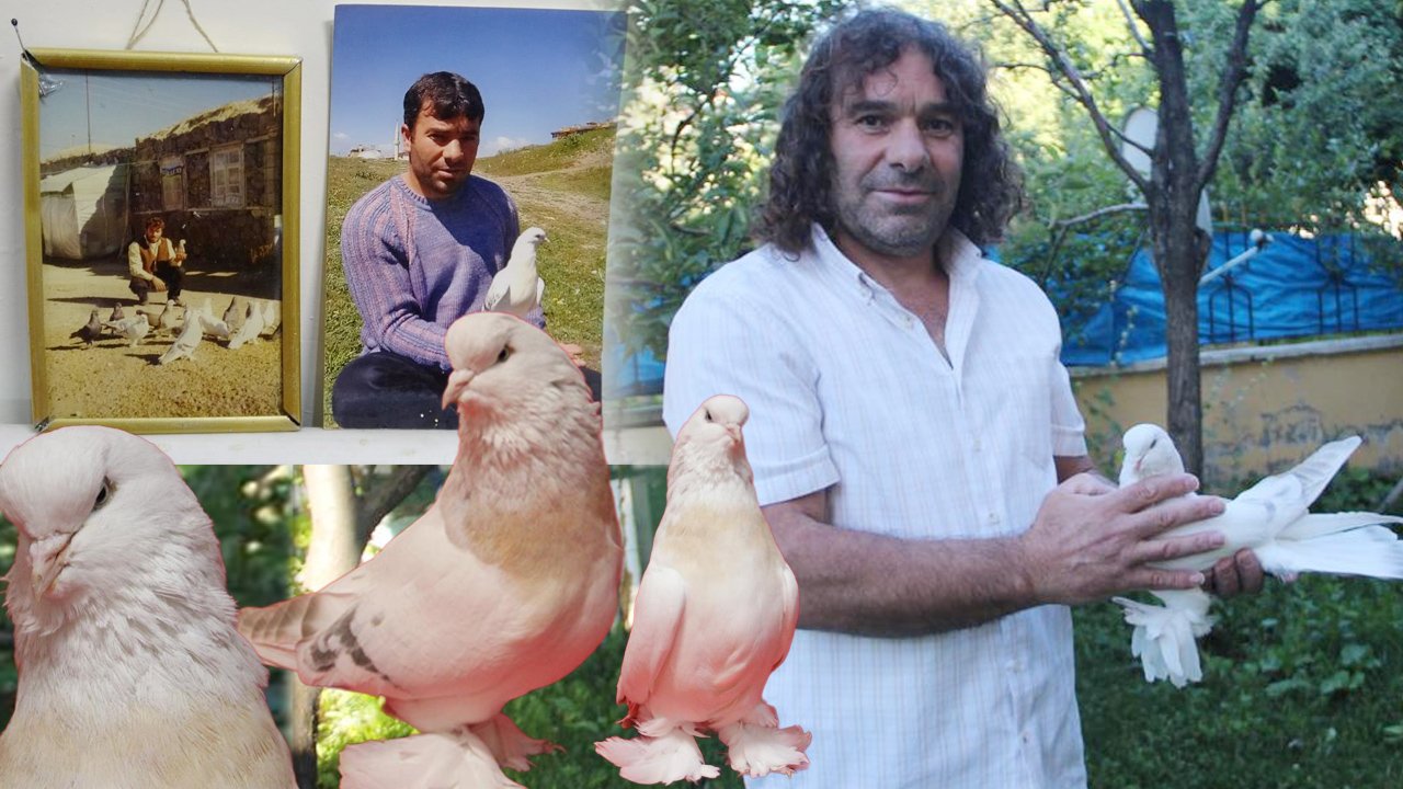 6 güvercinin değeri dudak uçuklatıyor! “Çocuklarımdan çok onları düşünüyorum”